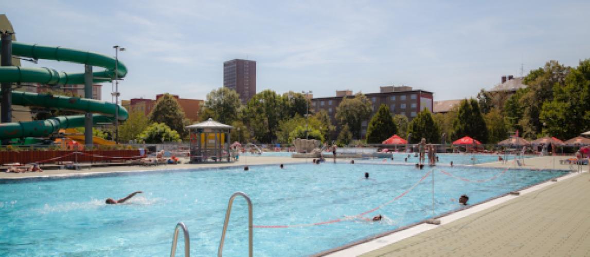 Outdoor Swimming Pool - swimming pool at Vodni Svet Sareza