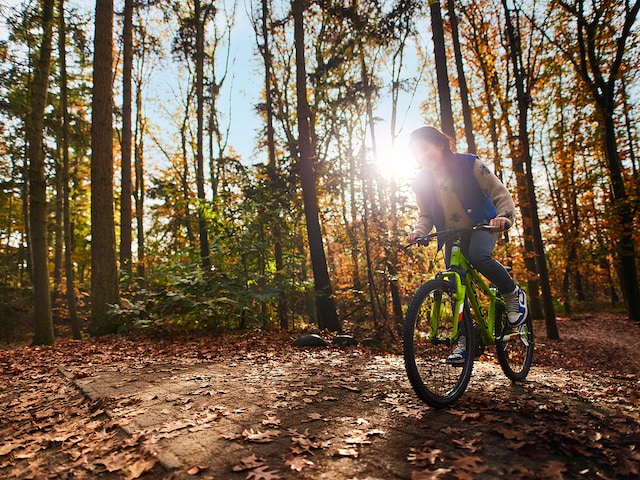 Bike Services - service area at Center Parcs De Eemhof: Mountain Biking