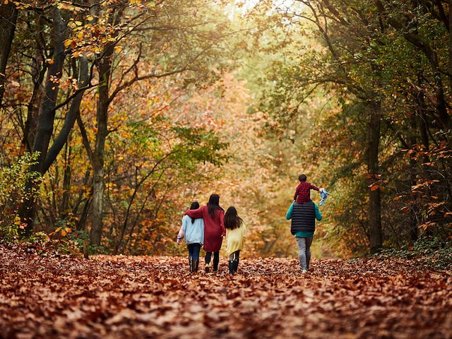 Closer to Nature - service area at Center Parcs Park Hochsauerland: A hike through the nature
