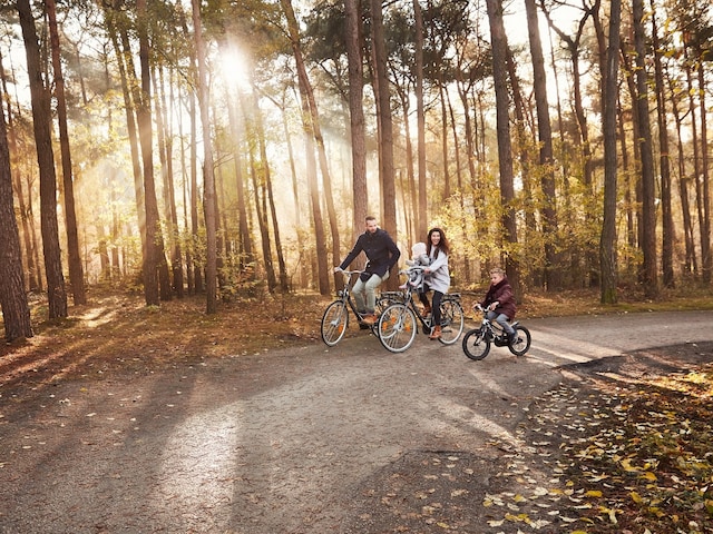 Bike Services - service area at Center Parcs Les Ardennes: Gazelle bikes
