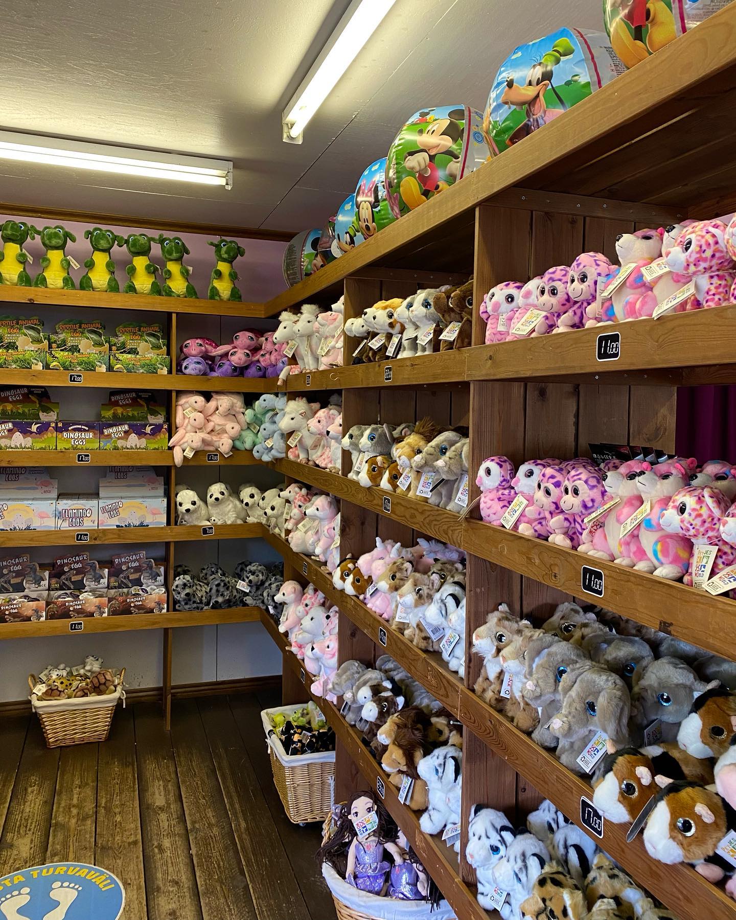  Souvenir Store - store at Visulahti Dinosauria 