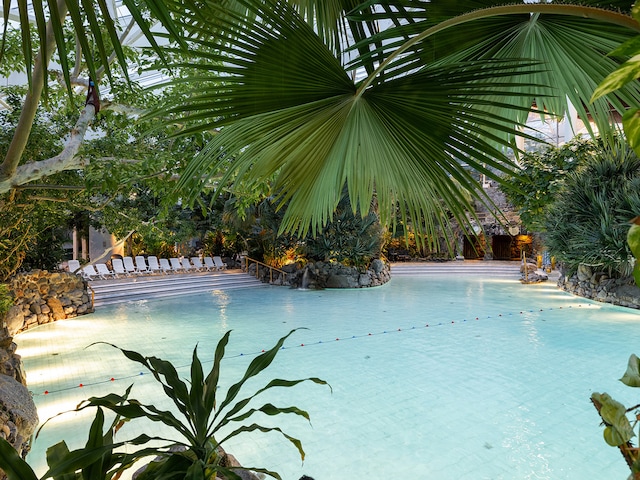 Wave pool - swimming pool at Center Parcs Les hauts de bruyeres