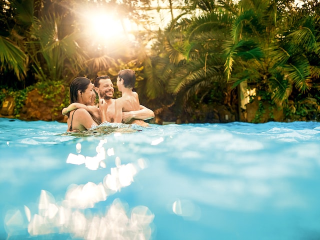 Lagoon pool - swimming pool at Center Parcs Erperheide