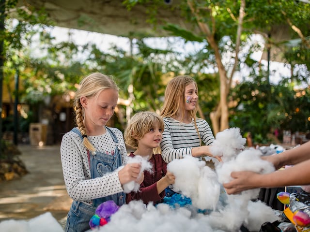Kids Workshop - service area at Center Parcs Park De Haan: Making Stuffed Animals