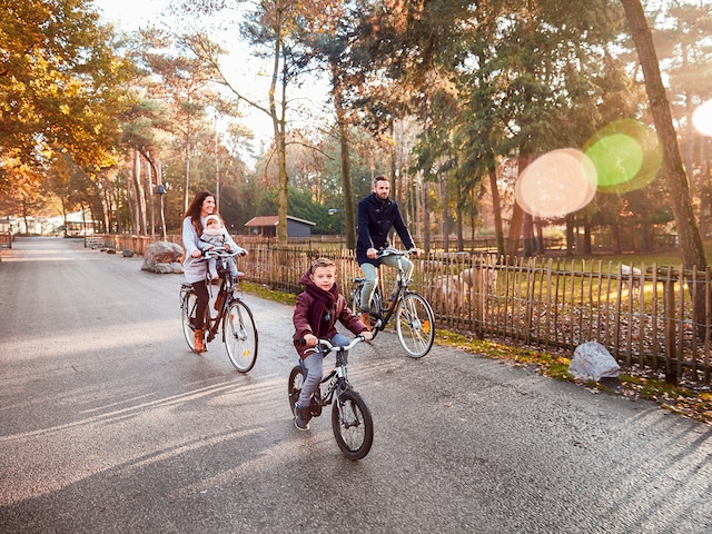 Cycle Service - service area at Center Parcs Park Sandur: Gazelle bikes