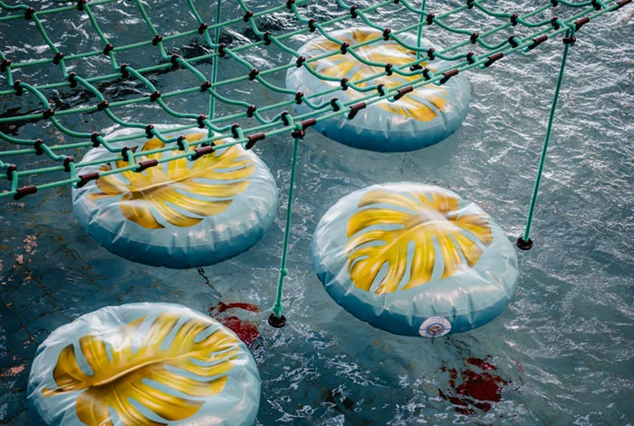 Four Leaves Crossing - activity zone at Termy Zakopiańskie 