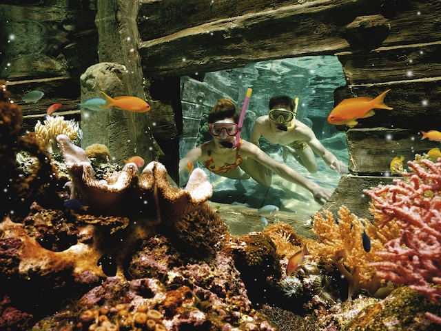 Snorkeling Pool - swimming pool at Center Parcs Park allgau