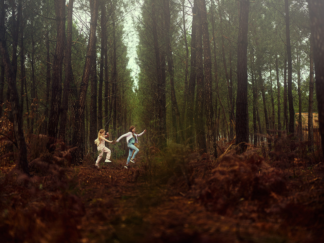 Nature Discovery - activity zone at Center Parcs Park Nordseekuste: Spring Scavenger Hunt