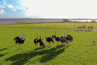 Take a Trip - service area at Aquadome Søndervig