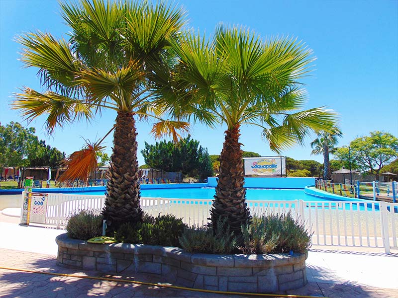Wave Pool - swimming pool at Aquopolis Cartaya