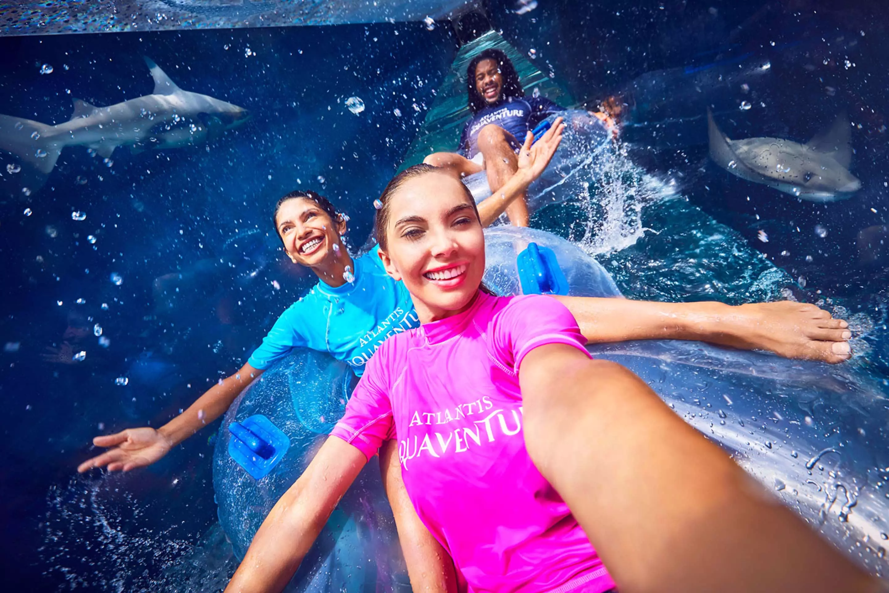 Shark Attack - water slide at Aquaventure World Dubai