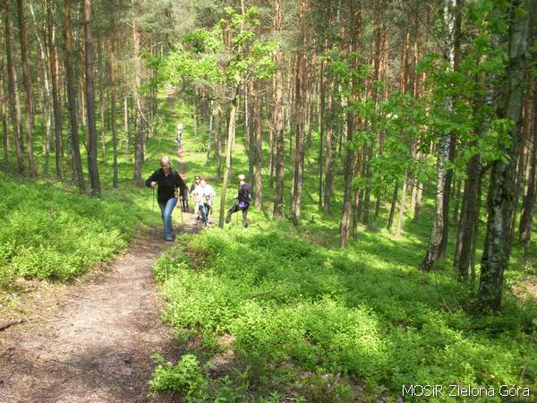 Nordic Walking - activity zone at Aquapark Zielona Góra