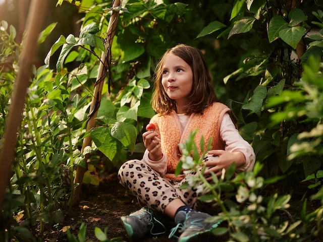 Nature Discovery - activity zone at Center Parcs Erperheide: Ranger Expedition A-Stream Valley