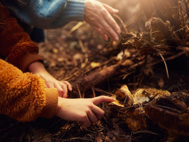 Nature Discovery - activity zone at Center Parcs Les trois forets: Digital Nature Discovery