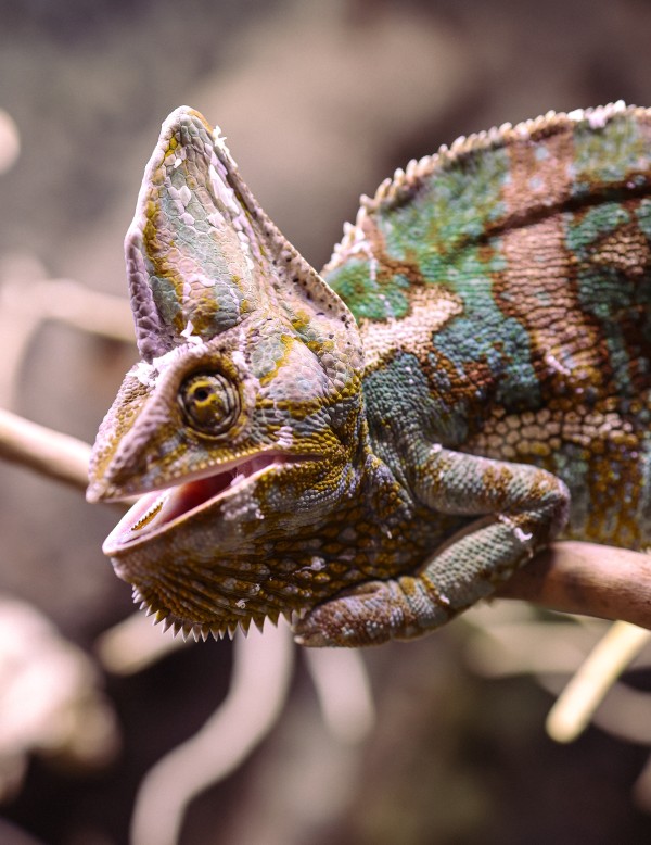 Gadoland - service area at Aquapark Reda