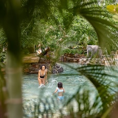 Aquapark Center Parcs Erperheide