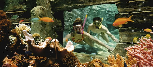 Aquapark Center Parcs De Vossemeren