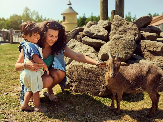 Nature Discovery - activity zone at Center Parcs Les bois francs: Children"s farm