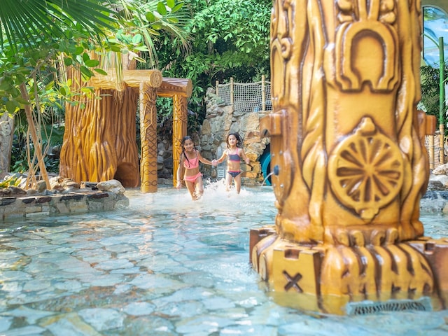 Children"s pool - swimming pool at Center Parcs Het Heijderbos