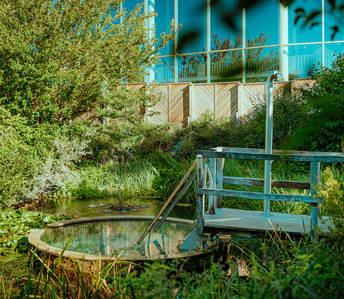Nature Plunge Pool - swimming pool at Therme Erding