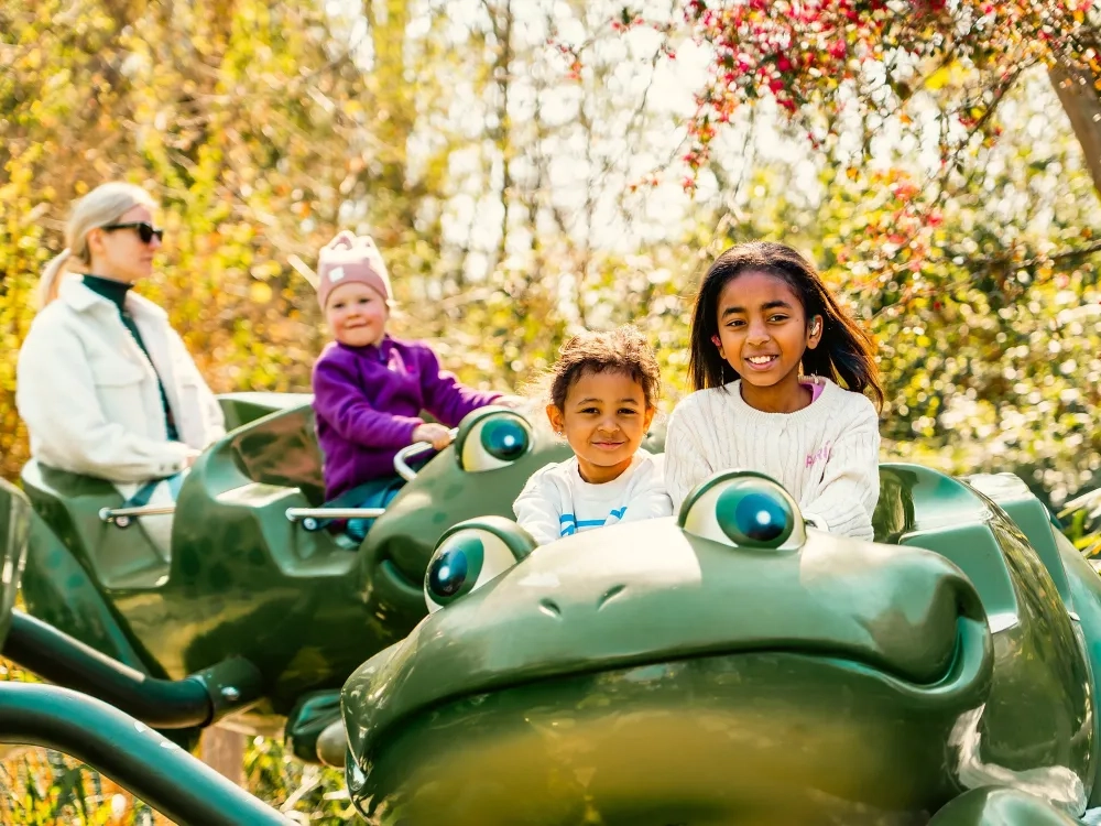 Rides for Kids - activity zone at Holiday Park Germany: The Frogs