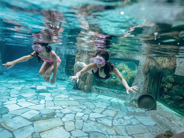 Diving - service area at Center Parcs Le Bois aux Daims: Dive Introduction