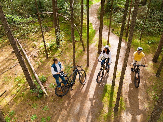 Cycle Service - service area at Sunparks Kempense Meren: Cycling