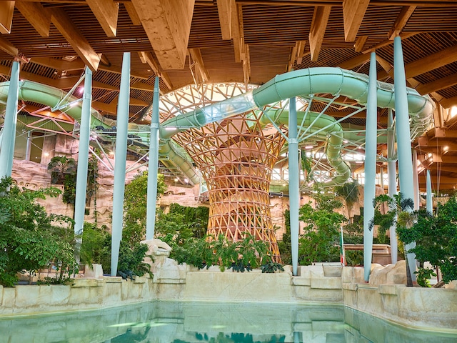 Aquatic Garden - activity zone at Center Parcs Villages Nature Paris