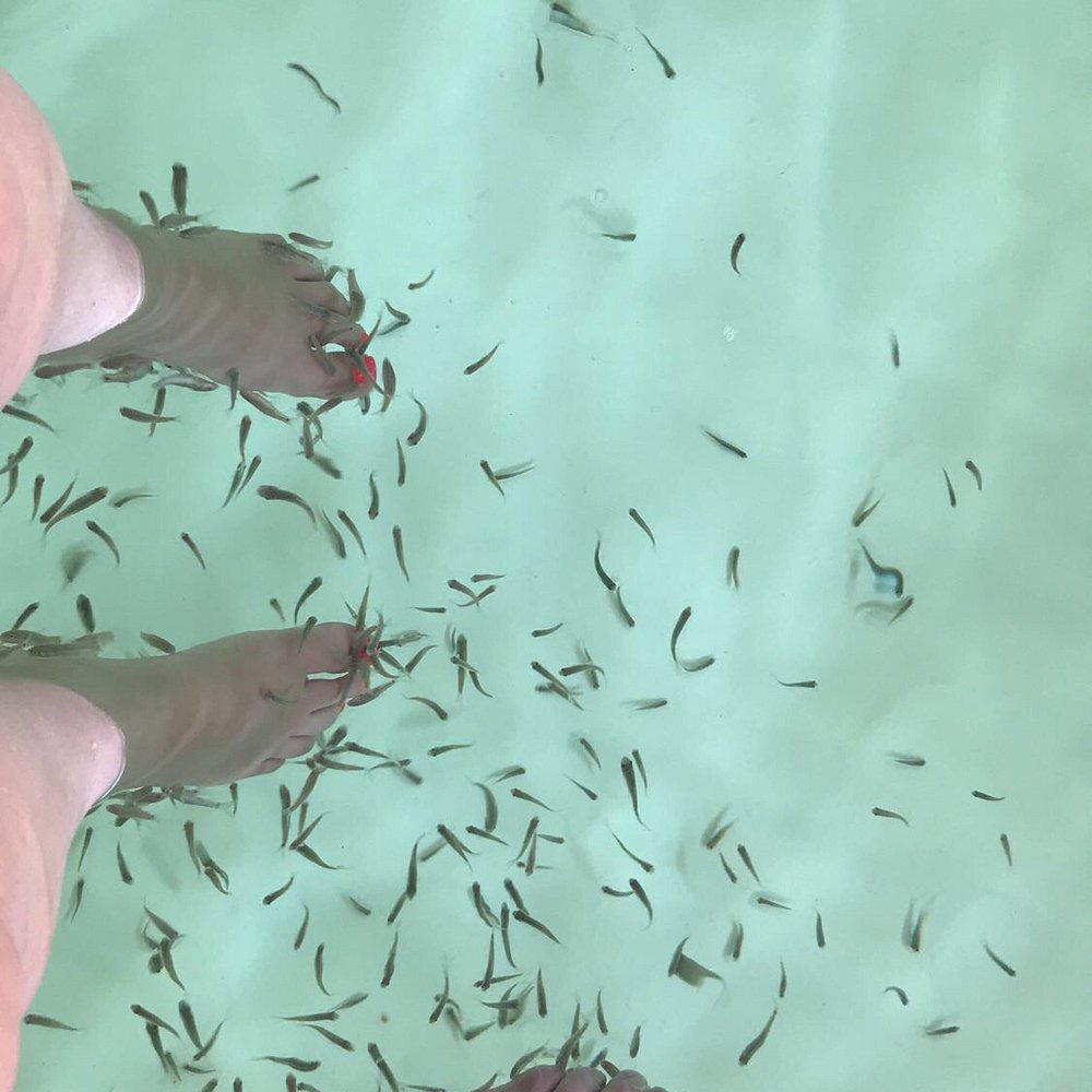 Garra Fish Spa - wellness area at Fasouri Watermania